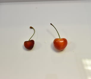 「特定ガス組成」の独自技術開発