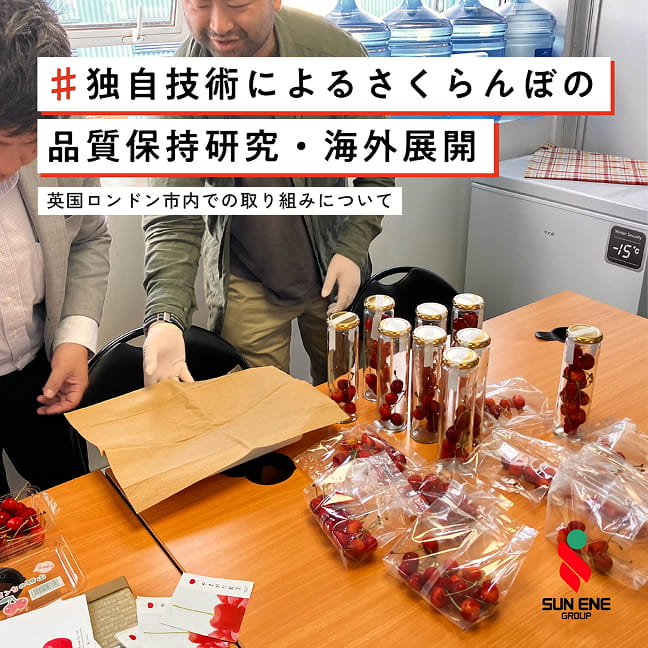 山形県産さくらんぼの⾧期保存技術の確立に向けた共同研究