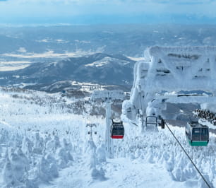 新たな「旅のカタチ」の提案